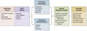 Key Psychological Processes